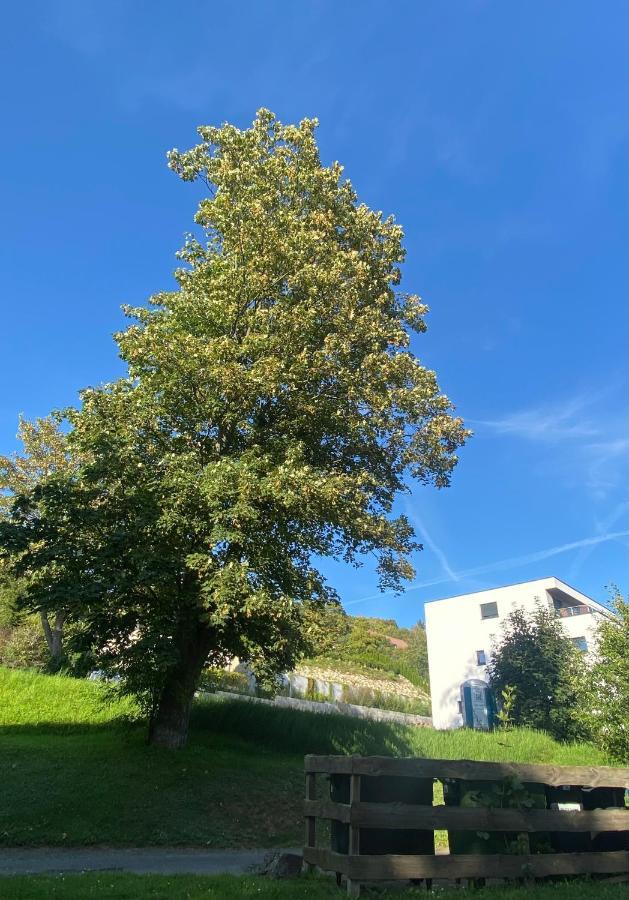 Zentral & Maritim Apartment Harzperle 3 Bad Harzburg Dış mekan fotoğraf